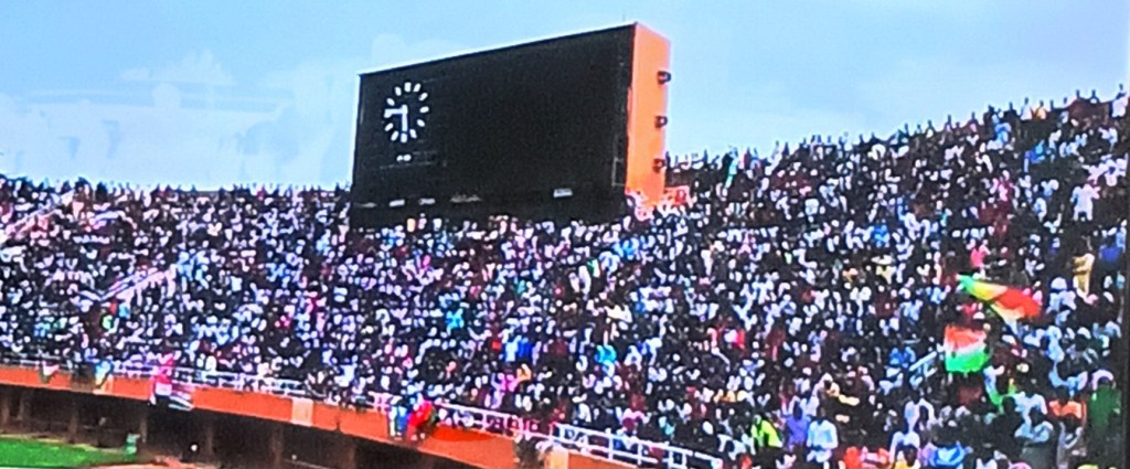 COLT-Niger- Downfall of&nbsp;democracy