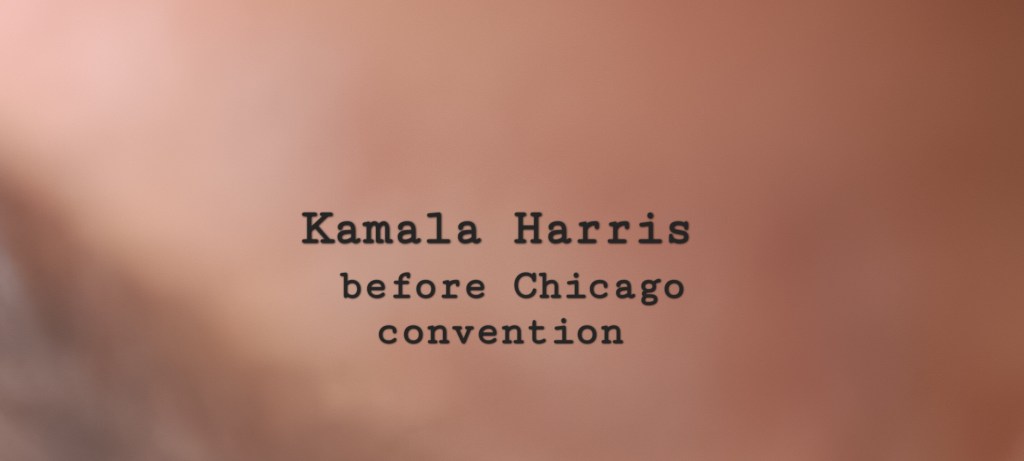 US Democrat National Convention Chicago&nbsp;2024