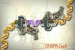 CRISPR GENE EDITING: TREMENDOUS POTENTIAL&nbsp;!